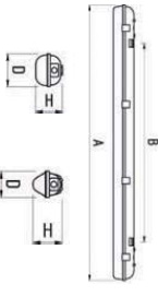 �������. �����